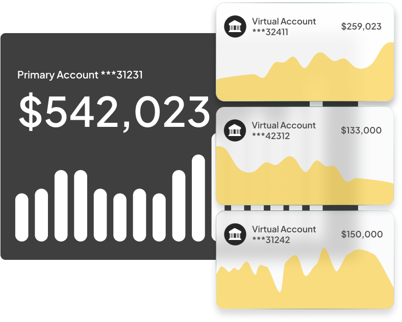 Primary and Virtual Accounts